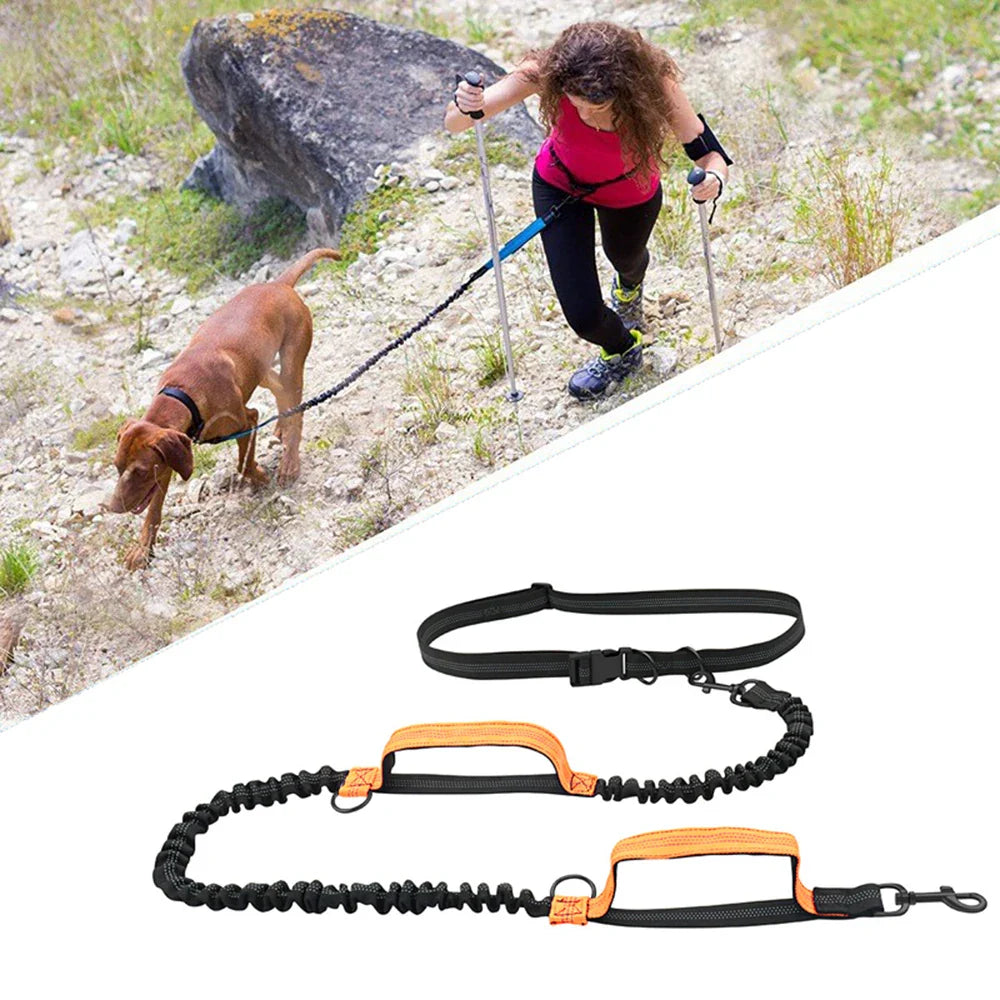 Hands-Free Double Elastic Reflective Dog Leash — Retractable Running Waist Belt, Adjustable Waist 27.6–47.2 in (70–120 cm), Leash 63–102 in (160–260 cm)