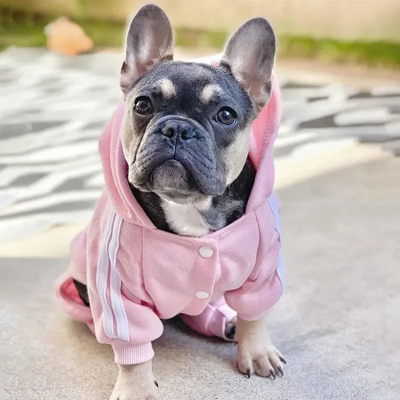 French Bulldog Puppy Costume Jumpsuit for Small and Medium Dogs, Chihuahua Pug Dog Clothes