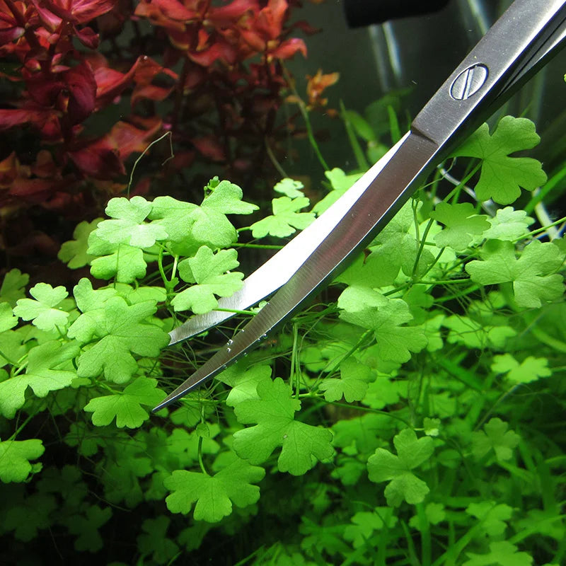 Stainless Steel Aquarium Plant Tool Set — 25 cm Scissors, 27/38/48 cm Tweezers & 32 cm Spatula (9.8–18.9 in)