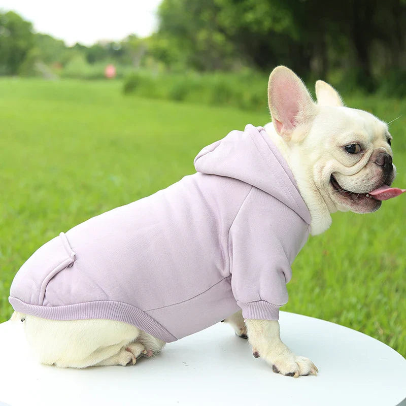 Warm Hooded Dog Sweater for Small Pets – Thick Fleece Autumn Winter Solid Color Pet Hoodie