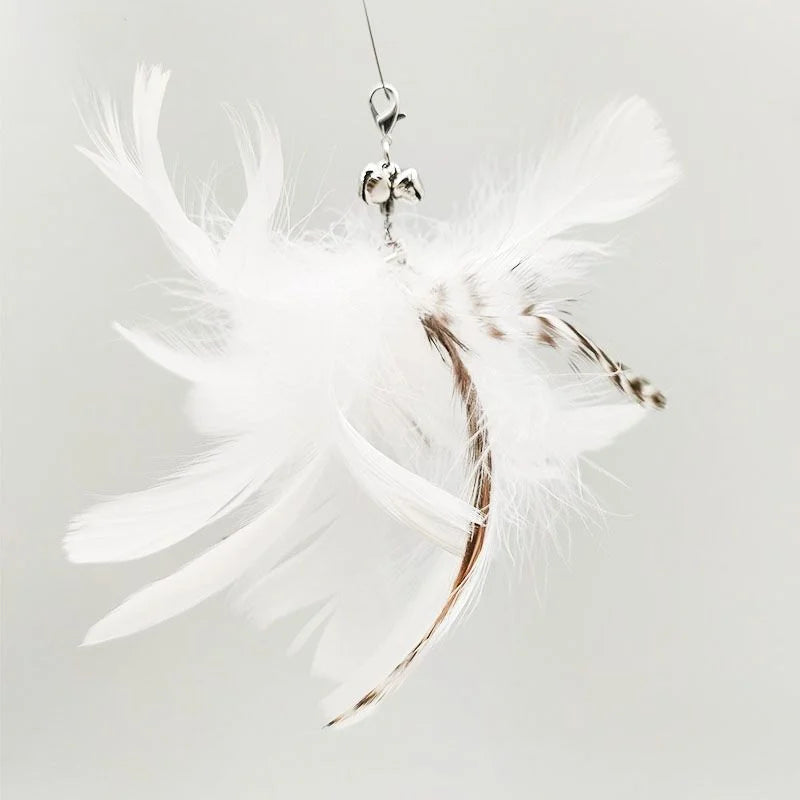 Interactive Feather Cat Toy – Feather Teaser for Cat Play & Exercise