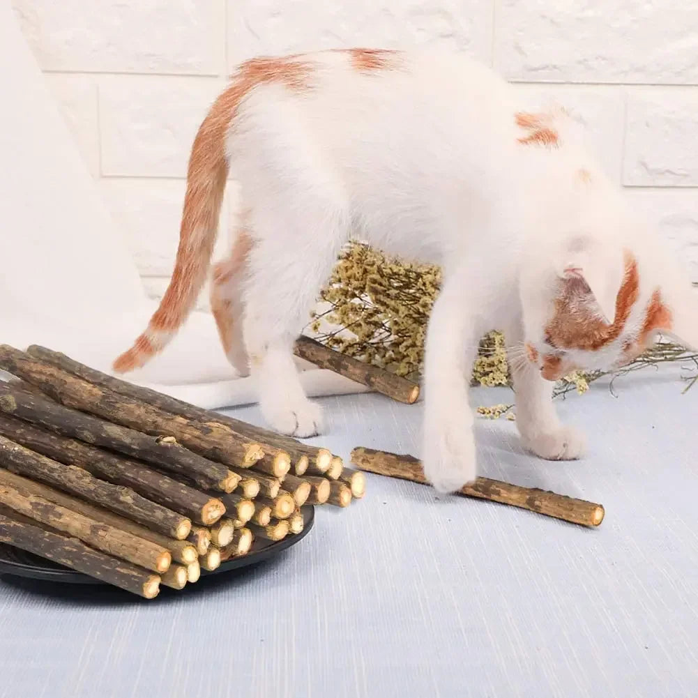 15-Pack Natural Matatabi (Silvervine) Cat Chew Sticks – Catnip Kitten Molar Dental Toy for Teeth Cleaning