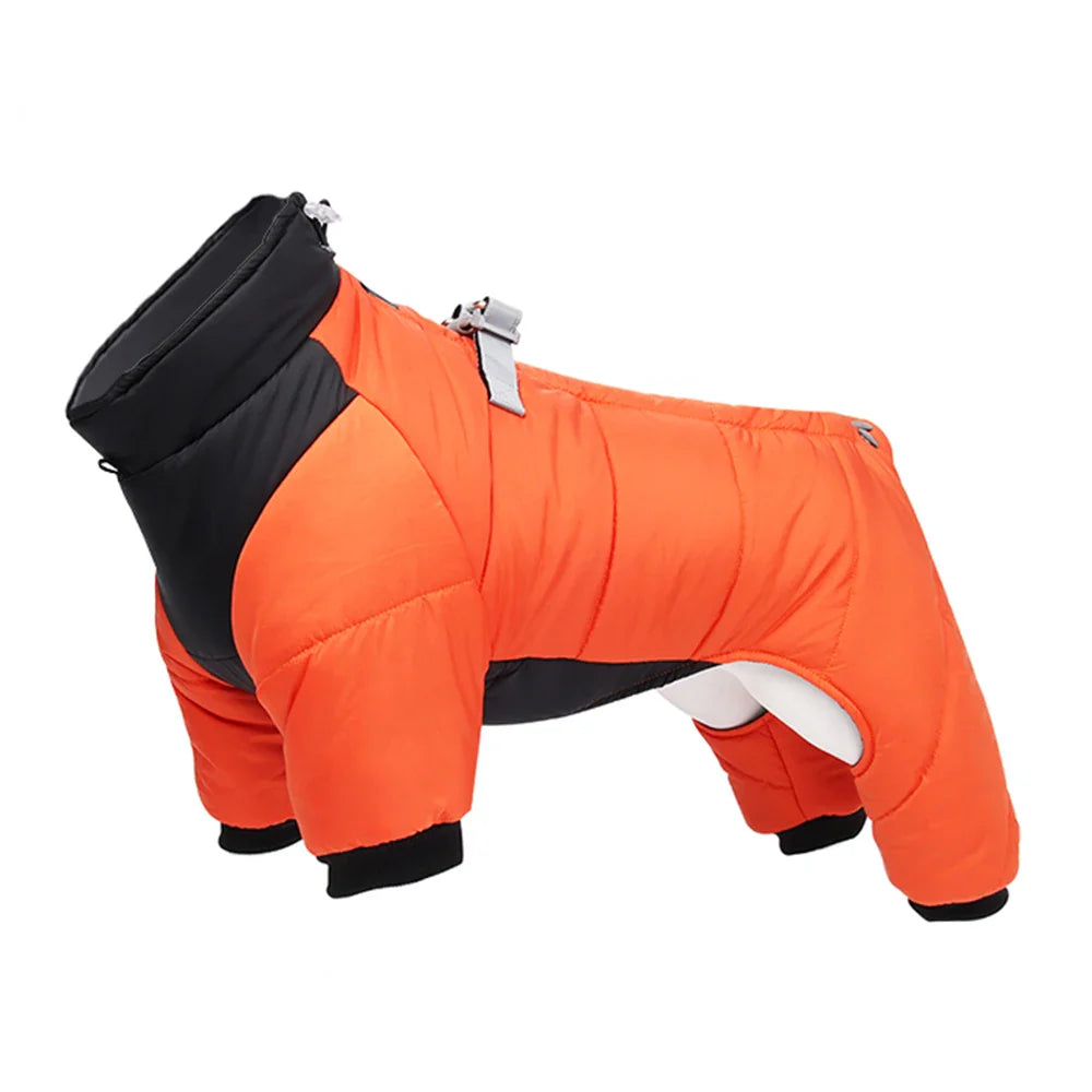 Waterproof Padded Winter Dog Jacket – Warm Thick Coat for Small & Medium Dogs (Chihuahua, French Bulldog, Pug)
