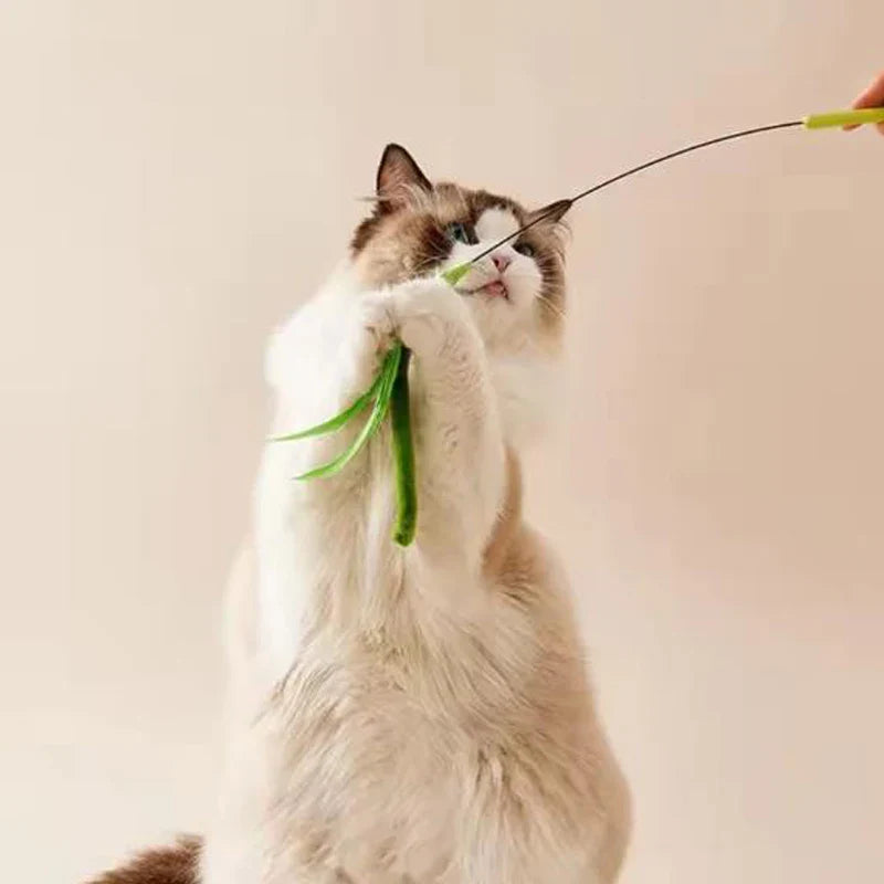 Interactive Feather Teaser Wand for Cats — Flexible Wire Durable Feather Toy