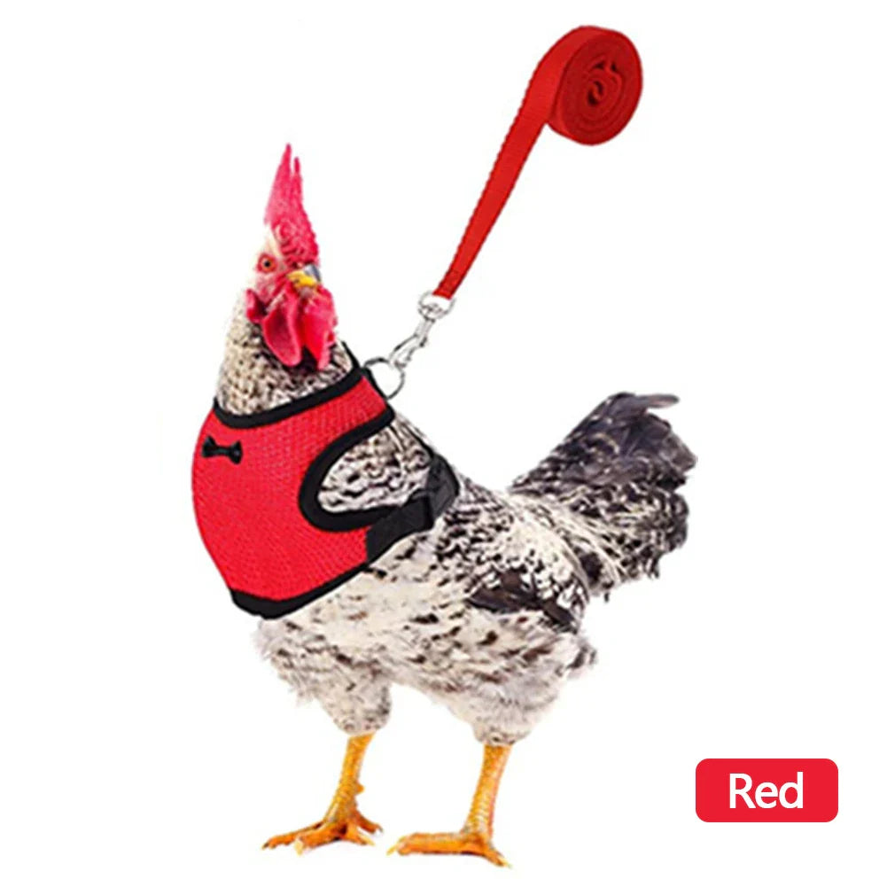 Adjustable Mesh Chicken and Duck Harness Vest with Leash Breathable Poultry Harness XS-XL