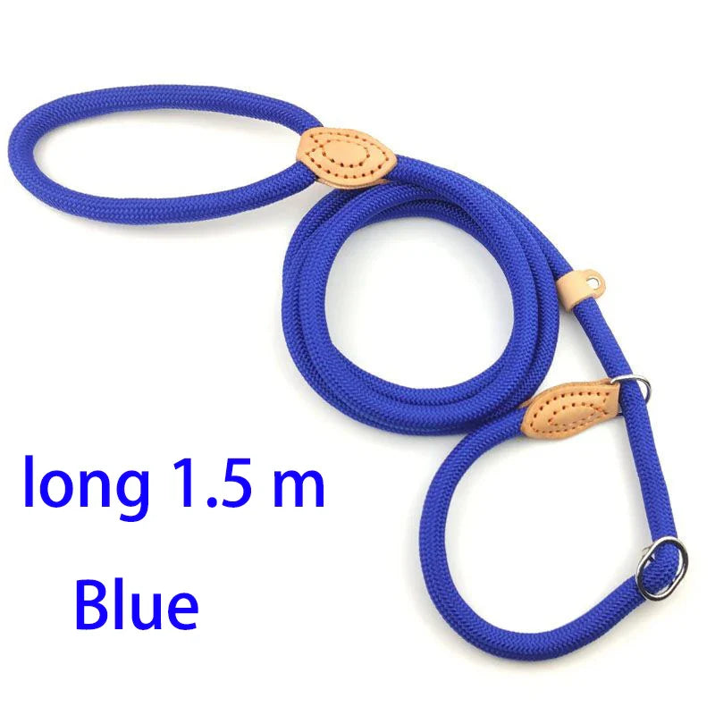 Adjustable Nylon Dog Collar and Harness with Quick-Release Leash, Lightweight Durable Pet Lead for Dogs and Cats