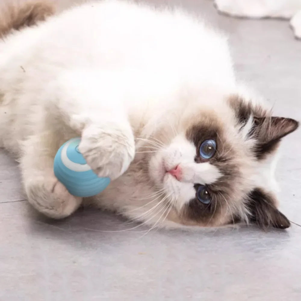 Rechargeable Self-Moving Rolling Ball Cat Toy — Interactive Indoor Toy for Kittens & Cats