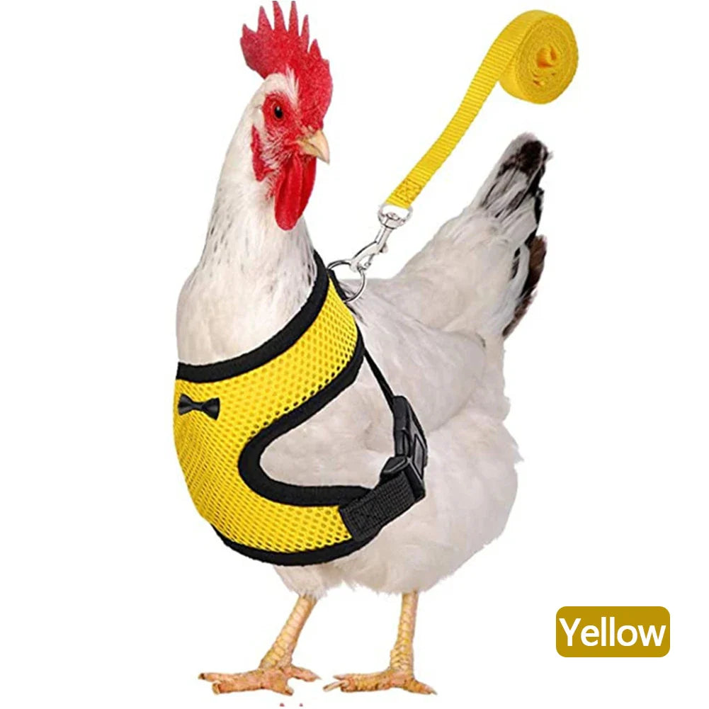 Adjustable Mesh Chicken and Duck Harness Vest with Leash Breathable Poultry Harness XS-XL