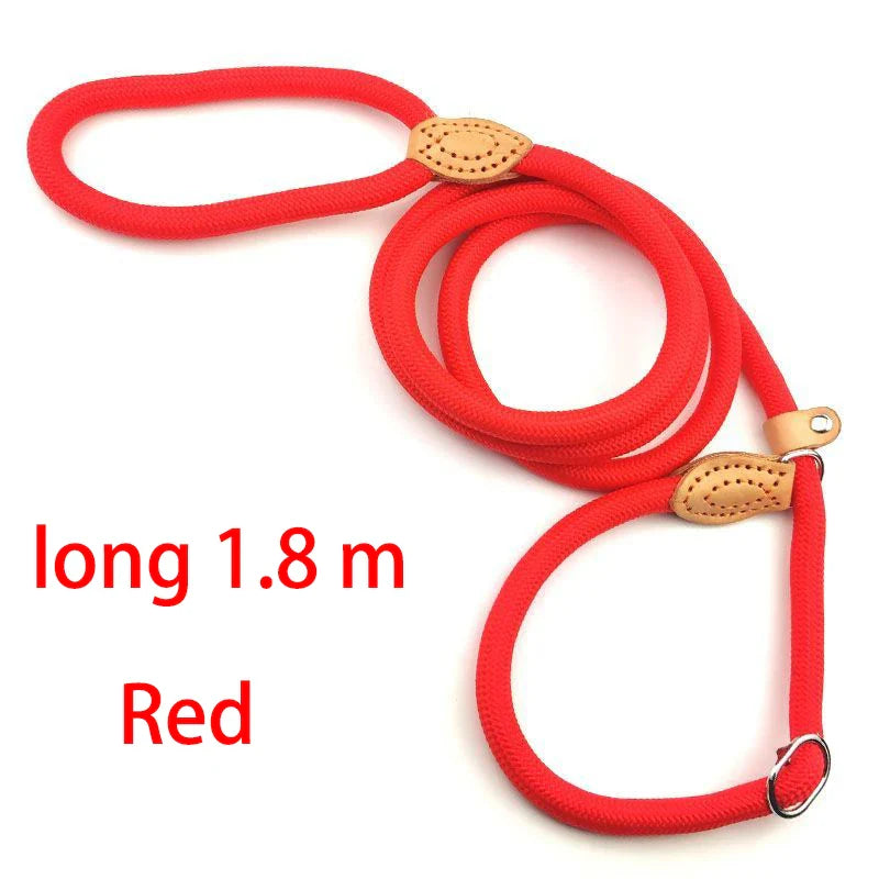 Adjustable Nylon Dog Collar and Harness with Quick-Release Leash, Lightweight Durable Pet Lead for Dogs and Cats