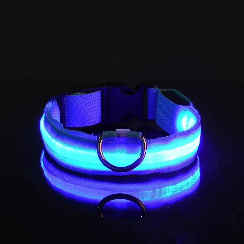 LED Glow Dog Collar – Nylon Luminous Fluorescent Safety Collar with Flashing Lights