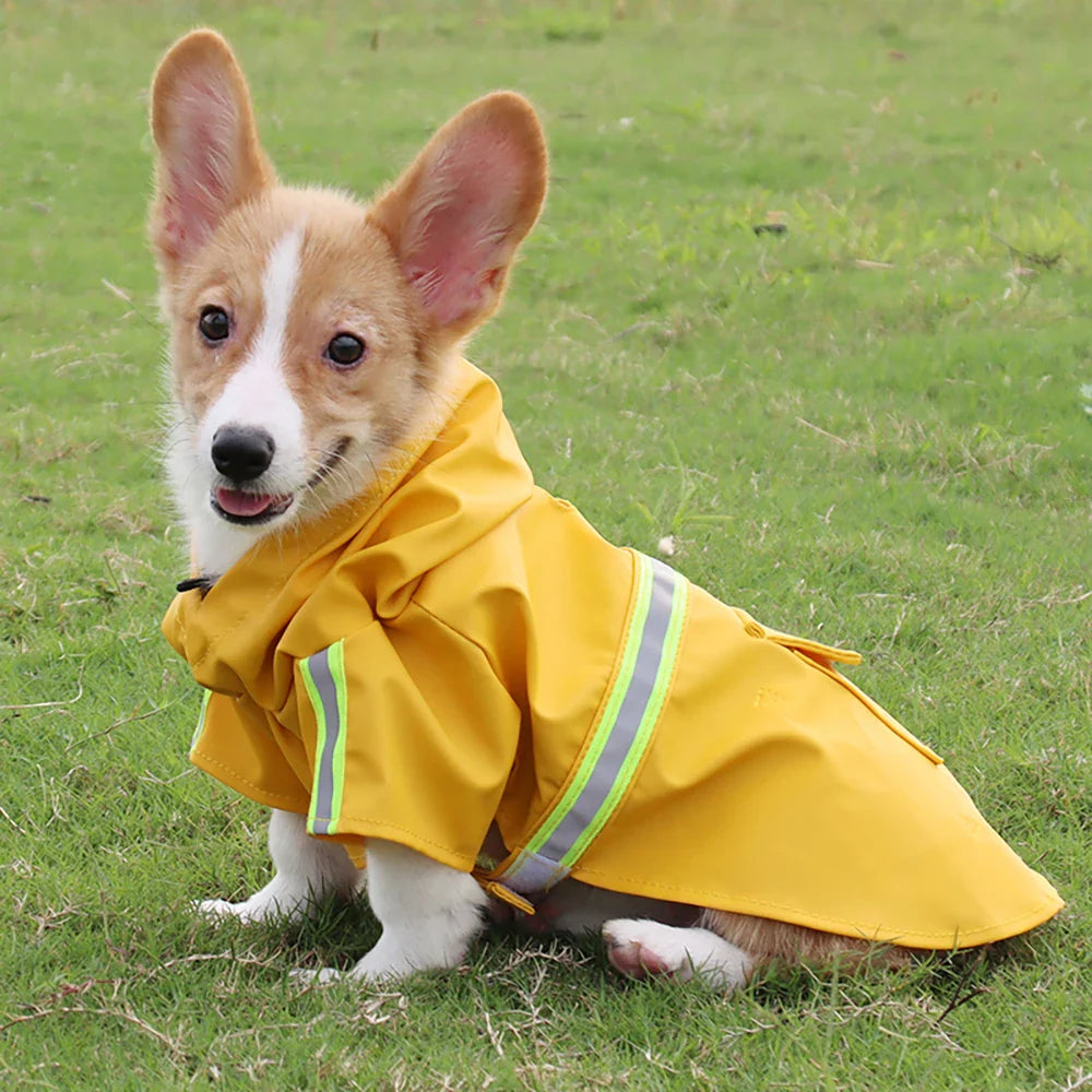 Large Hooded Dog Raincoat Waterproof Windproof Reflective Cloak for Corgi and Puppy