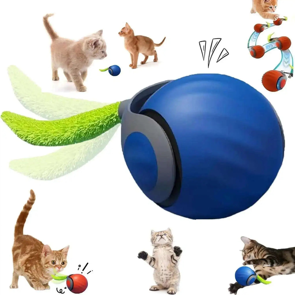 Interactive Rolling Cat Toy with Tail – USB Rechargeable Smart Ball, Dual-Speed Automatic Play