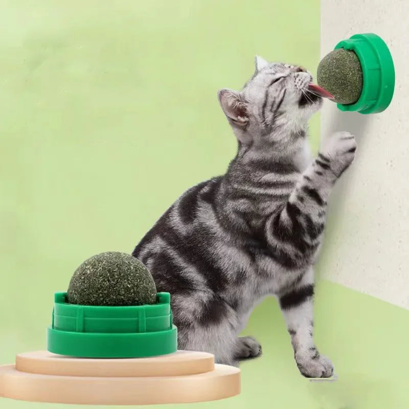 Catnip Wall Stick-On Spin Ball Toy for Cats — Adhesive Cat Grass Treat for Play & Dental Care