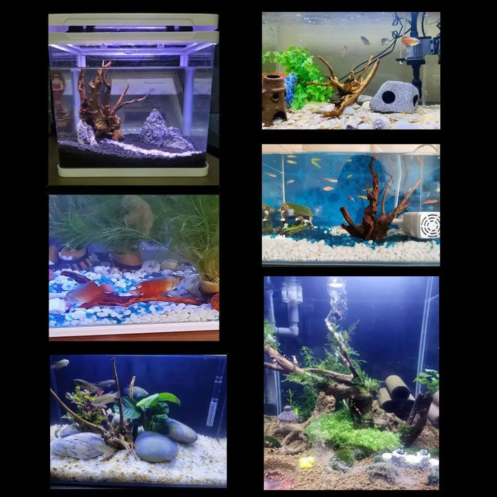 Large Natural Driftwood Aquarium Decor Tree Stump for Fish Tank, Plant & Terrarium Landscaping