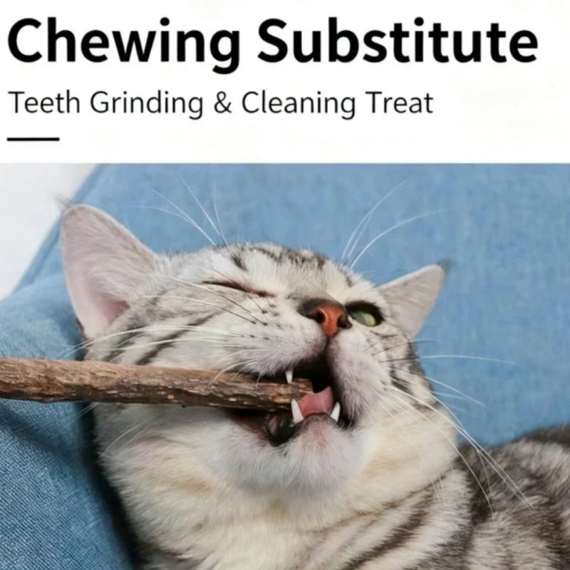 Natural Woodruff Cat Chew Sticks 20-Pack – Dental Molar Chews for Cats & Kittens
