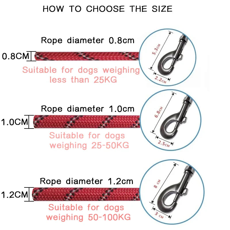 Reflective Heavy-Duty Nylon Dog Leash - 150/200/300cm (59/79/118 in | 5/6.6/9.8 ft) - Quick-Release for Small to Large Dogs