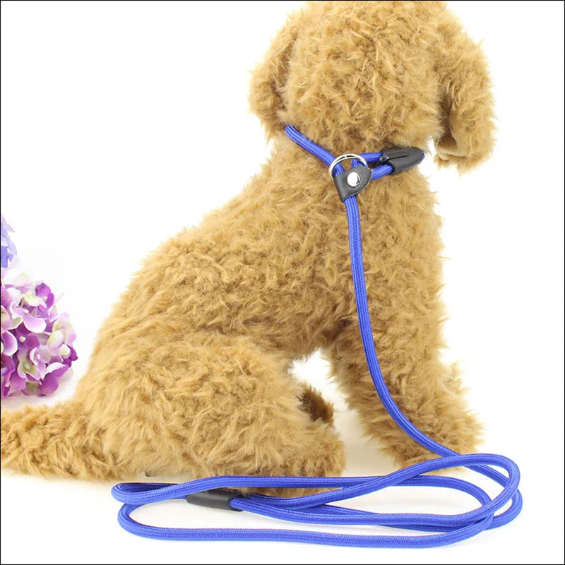 Adjustable Nylon Rope Dog Leash – 130 cm / 51 in Training Lead, Collar-Style Leash for Small/Medium/Large Dogs (S/M/L)