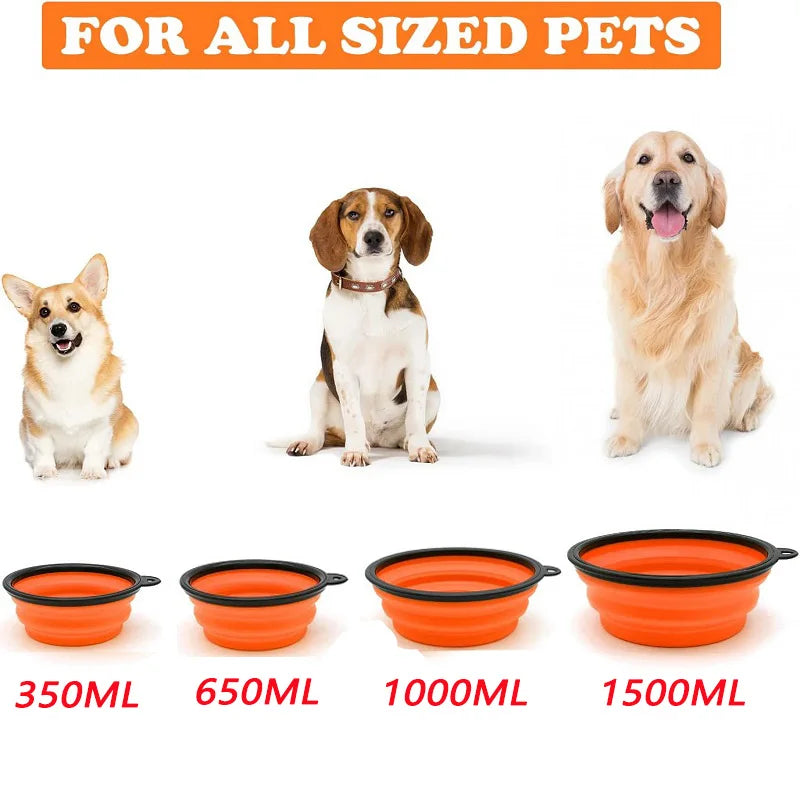 Collapsible Silicone Pet Travel Bowl with Bottle & Carabiner – 2-in-1 Food & Water Dispenser (350/650/1000 ml | 11.8/22/33.8 fl oz)