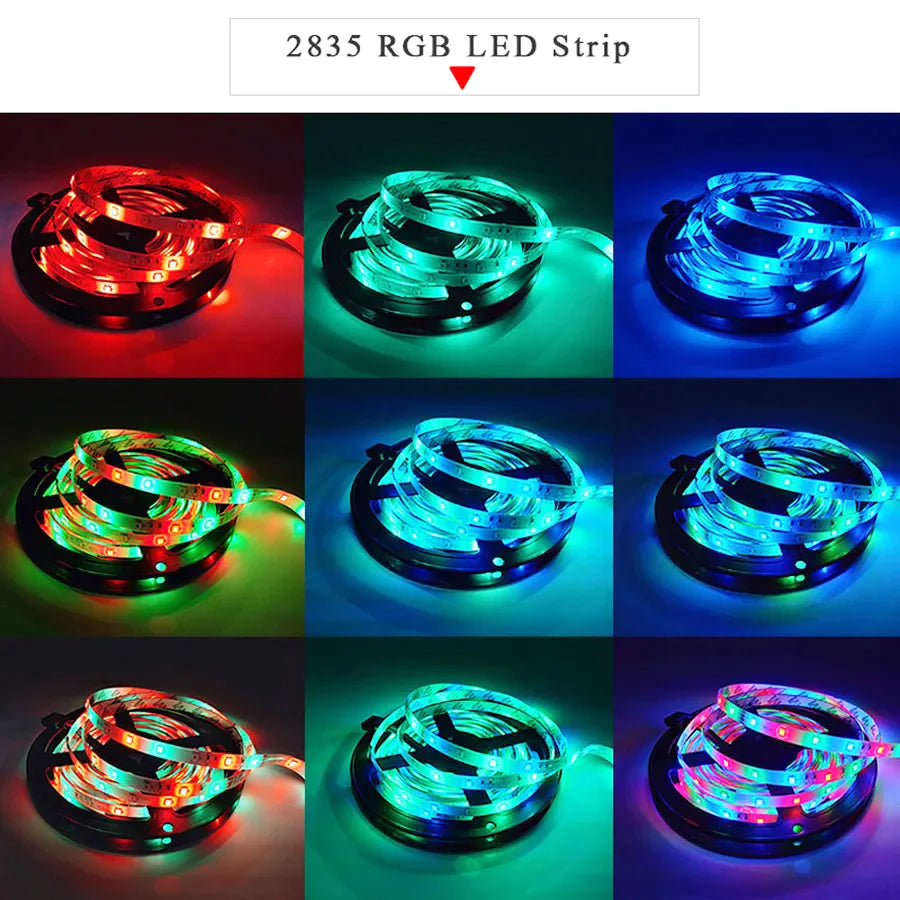RGB LED Strip Light 5M (16.4 ft) 300 LEDs SMD2835 12V Waterproof Flexible Tape Light - Warm White/White/Red/Green/Blue for Room Decor