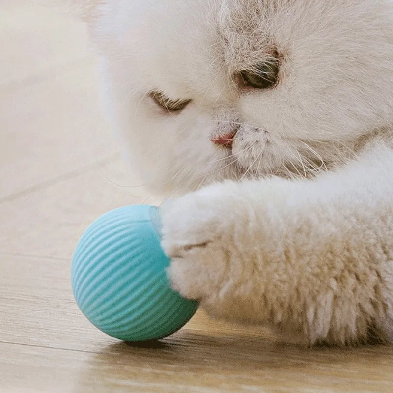Interactive Smart Cat Ball Toy Automatic Rolling Electronic Indoor Pet Toy with USB-C Charger (1.7 in / 4.3 cm)