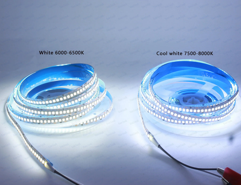 LED Strip Light 10mm PCB SMD2835 240 LEDs/m 1–5m (3.3–16.4 ft) DC12V/24V IP20 Non-Waterproof Flexible White/Warm White