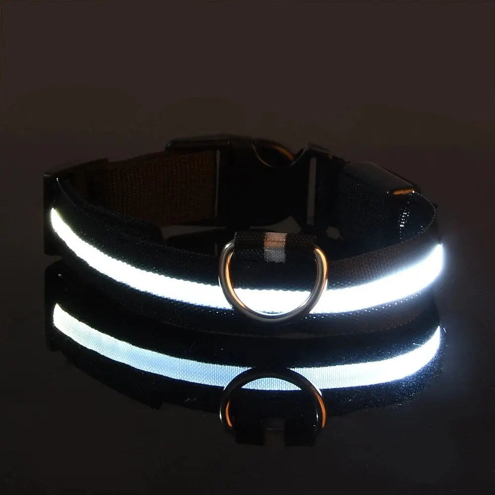 LED Glow Dog Collar – Nylon Luminous Fluorescent Safety Collar with Flashing Lights