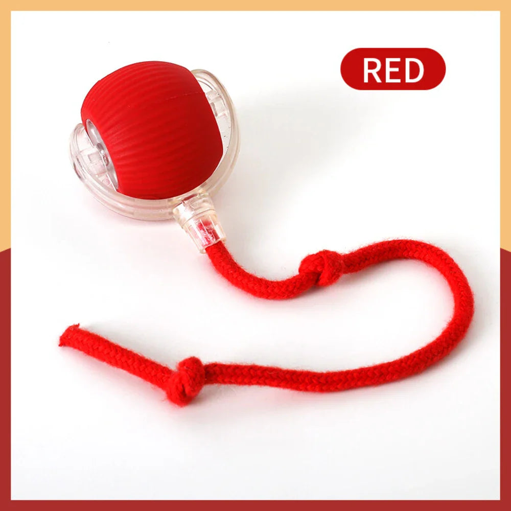 USB Rechargeable Smart Rolling Cat Ball Toy with Tail Lamp – Interactive Automatic Motion Toy for Cats & Small Dogs