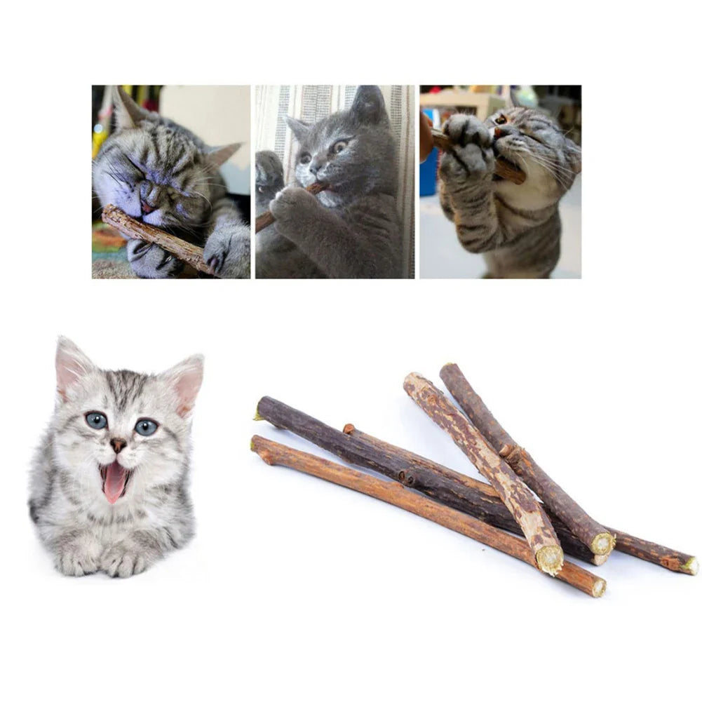 Silvervine Cat Chew Sticks – Natural Wood Polygonum Catnip Molar Chew Toys for Cats & Kittens, 10/15/20-Pack