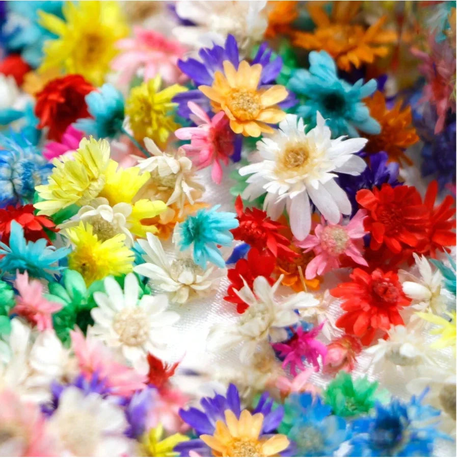 120 PCS Small Daisy Artificial Flower Heads for Resin Jewelry, Candle Decoration, DIY Crafts & Home Decor
