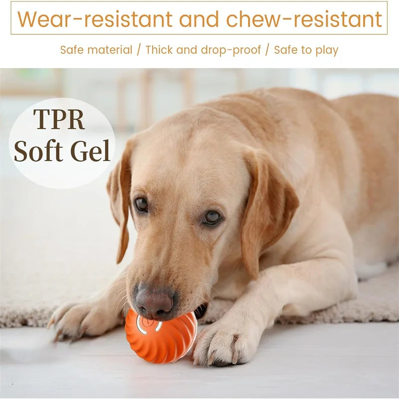 Interactive Rechargeable Pet Ball Toy USB — Automatic Moving Bouncing Ball for Puppies & Kittens, 5.2 cm (2.05 in)