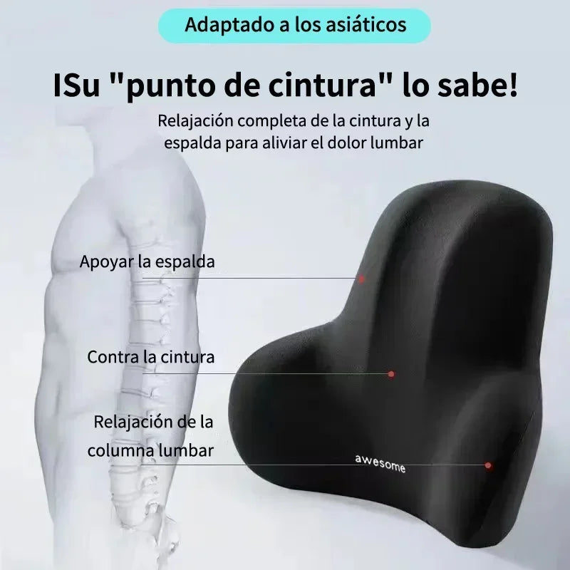 Memory Foam Lumbar Support Cushion for Car, Office & Gaming Chairs | Postpartum Waist Pain Relief Pillow