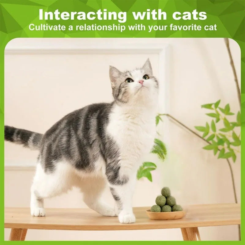 Natural Catnip Balls for Cats - 5/10/20-Pack Licking & Chew Toys, 13-15 mm (0.51-0.59 in)