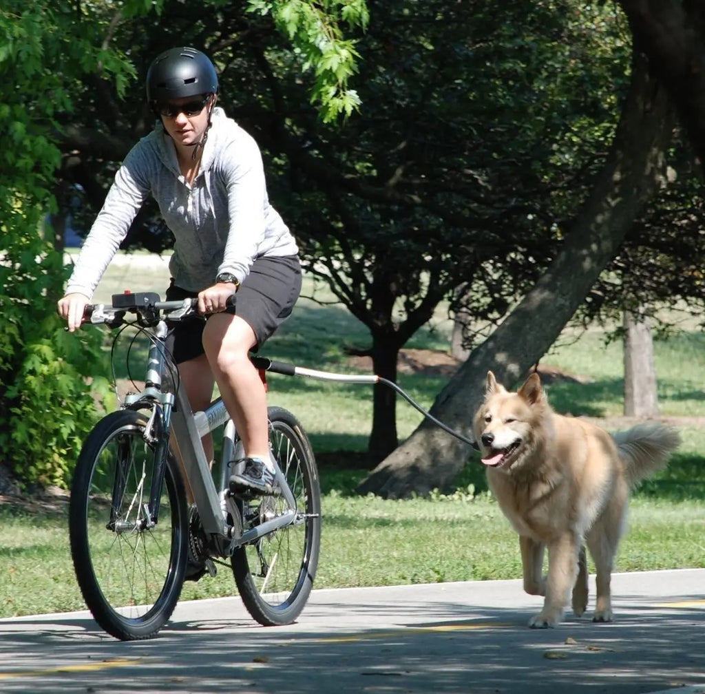 Removable Elastic Bicycle Dog Leash — Stainless Steel Bike Leash for Hands-Free Cycling & Walking