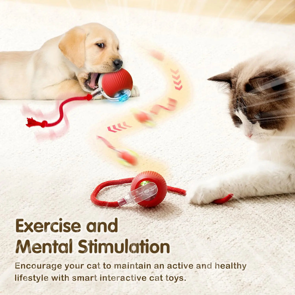 Interactive Rechargeable Cat Ball Toy with Faux Fur Tail — Automatic Rolling Smart Pet Ball (USB-C) for Cats & Small Dogs
