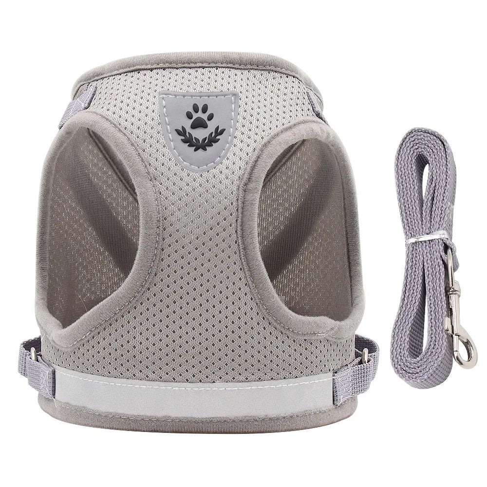 Adjustable Pet Harness & Leash Set – Vest Walking Lead for Dogs & Cats (Puppy & Kitten)