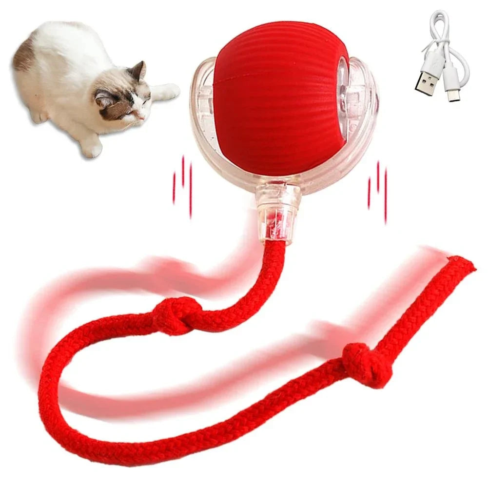 Rechargeable Interactive Rolling Cat Toy with Faux Tail - Motion-Activated Ball for Cats & Small Dogs