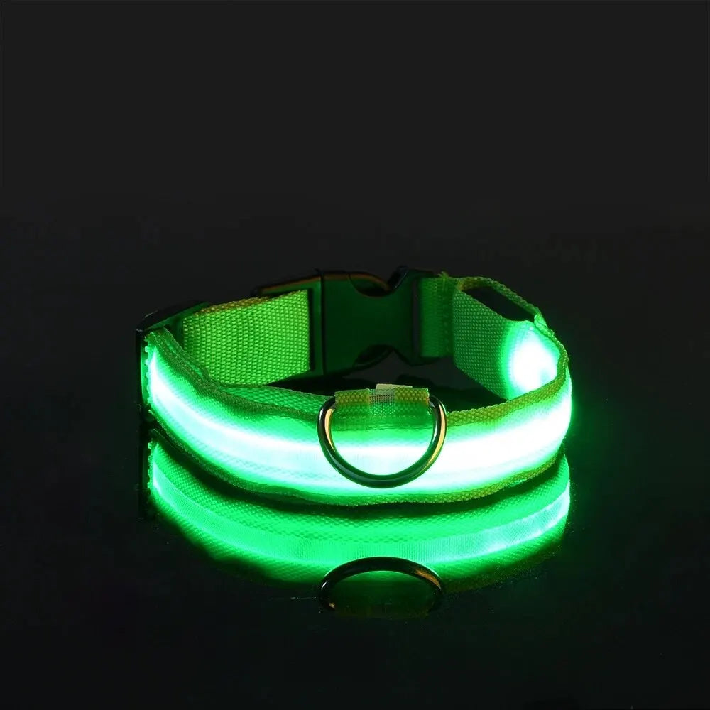 LED Glow Nylon Dog Collar & Leash - Luminous Flashing Night Safety for Dogs