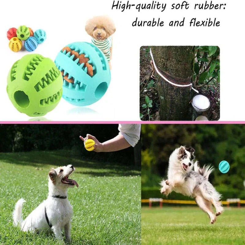 Interactive Rubber Chew Ball for Dogs & Cats — Treat Dispenser & Tooth-Cleaning Puppy Toy (5 cm / 2 in & 7 cm / 2.8 in)