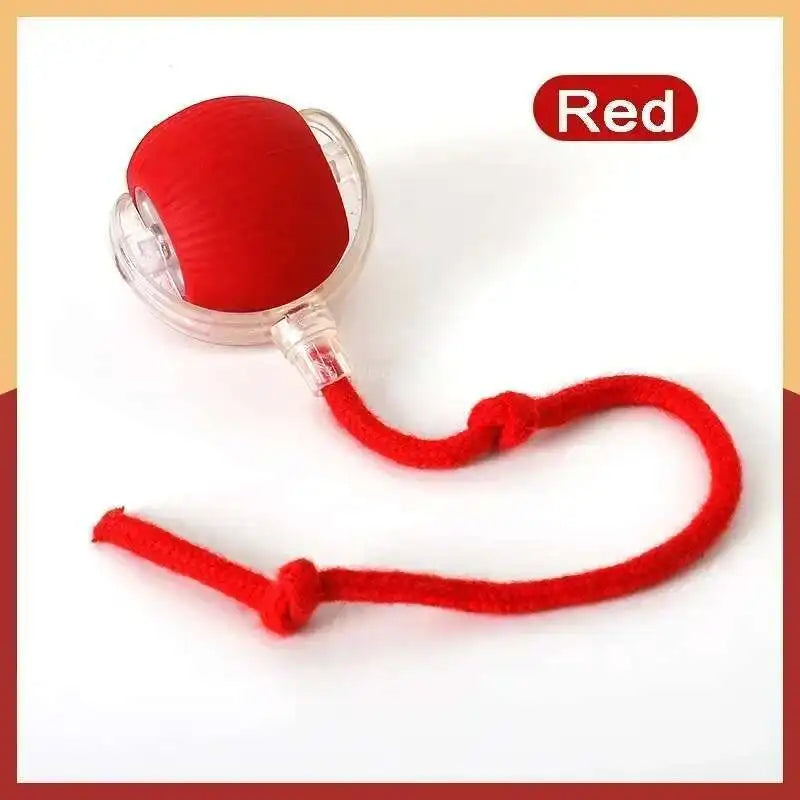 Interactive Rolling Cat Toy with Tail – USB Rechargeable Smart Ball, Dual-Speed Automatic Play