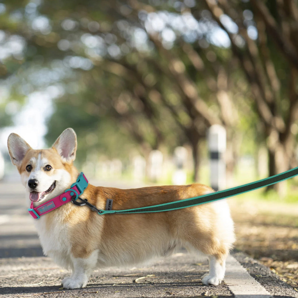 Adjustable Long Dog Leash – 1.5m/2m/3m/5m/10m/15m (4.9–49.2 ft) Lightweight Fiber Training Lead with Buckle, Personalized