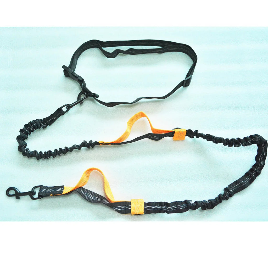 Hands-Free Double Elastic Reflective Dog Leash — Retractable Running Waist Belt, Adjustable Waist 27.6–47.2 in (70–120 cm), Leash 63–102 in (160–260 cm)
