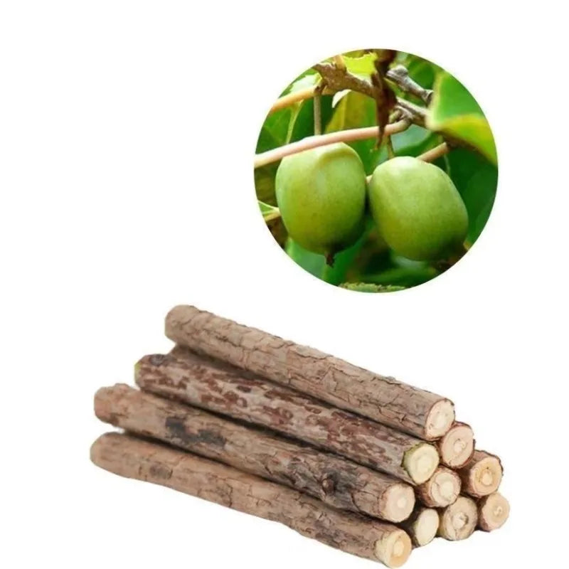 Natural Woodruff Cat Chew Sticks 20-Pack — Catnip-Like Dental Chew Toys for Kittens & Cats