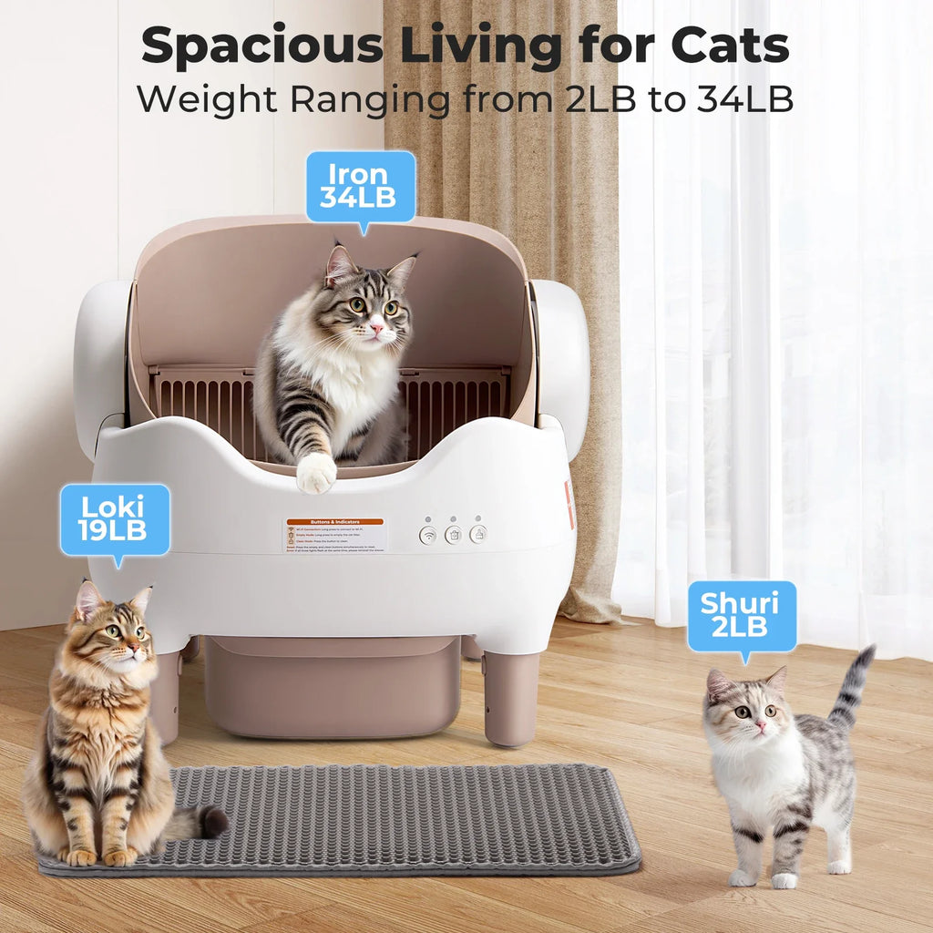Self-Cleaning Cat Litter Box with App Control — Open-Top Auto Litter Box, 10L Odor-Free Waste Bin, Whisper-Quiet Smart Litter Box for Multi-Cat Homes