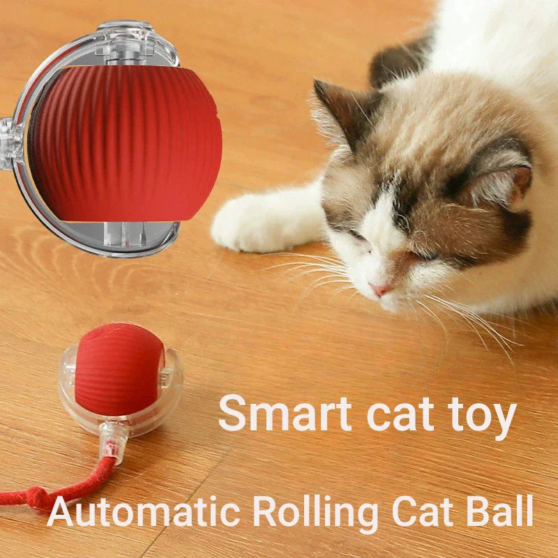 Rechargeable Automatic Rolling Cat Ball - Interactive Smart Toy for Cats & Kittens (2.36 x 2.75 in / 60 x 70 mm)