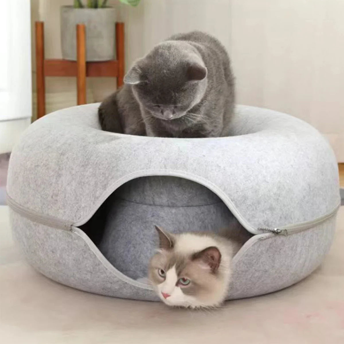 Donut Tunnel Cat Bed – Interactive Felt Cat House, Washable Zipper Design, All-Season Cozy Kitty Bed (M: 50 x 50 x 20 cm / 19.7 x 19.7 x 7.9 in; L: 60 x 60 x 28 cm / 23.6 x 23.6 x 11.0 in)