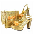 New Shoes And Bag Matching Set HJK1-11