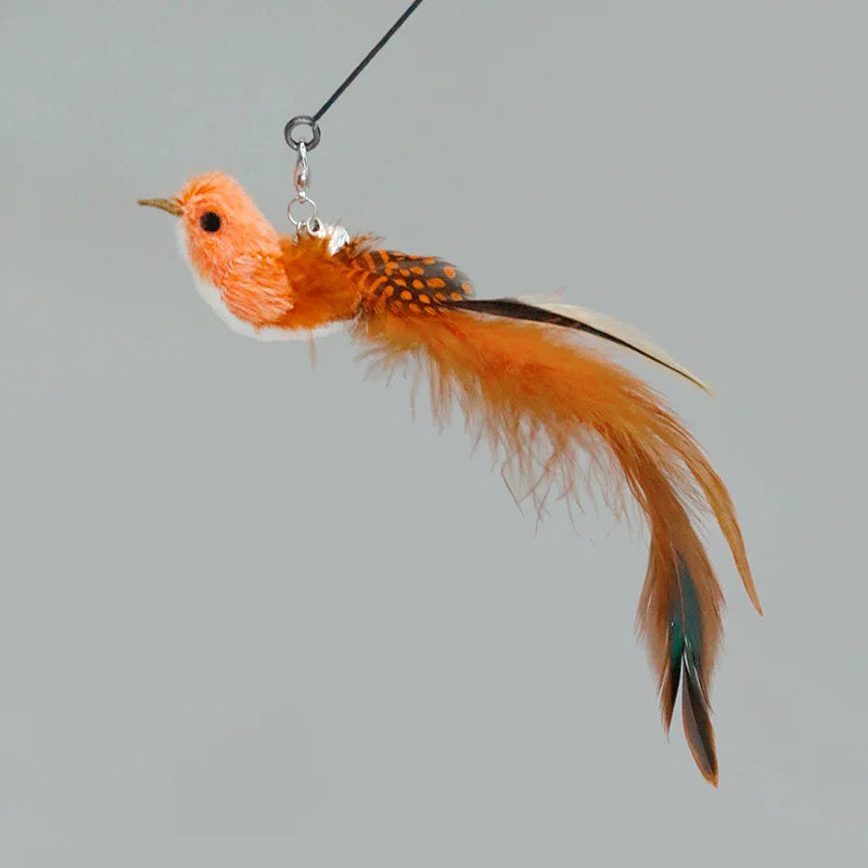 Interactive Feather Cat Toy – Feather Teaser for Cat Play & Exercise
