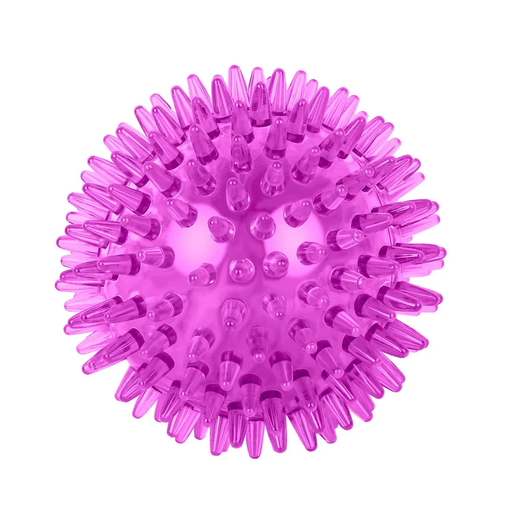 TPR Squeaky Thorn Chew Ball for Dogs & Cats — Teeth Cleaning Puppy Training Toy