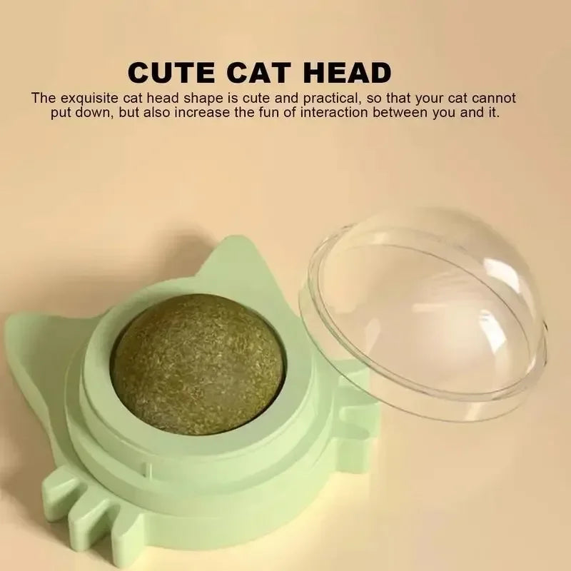 Catnip Ball Cat Toy – Bite-Resistant Self-Play Chew Toy for Kittens & Cats