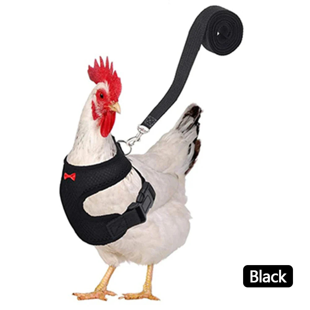 Adjustable Mesh Chicken and Duck Harness Vest with Leash Breathable Poultry Harness XS-XL